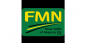 Flour Mills of Nigeria Plc (FMN)